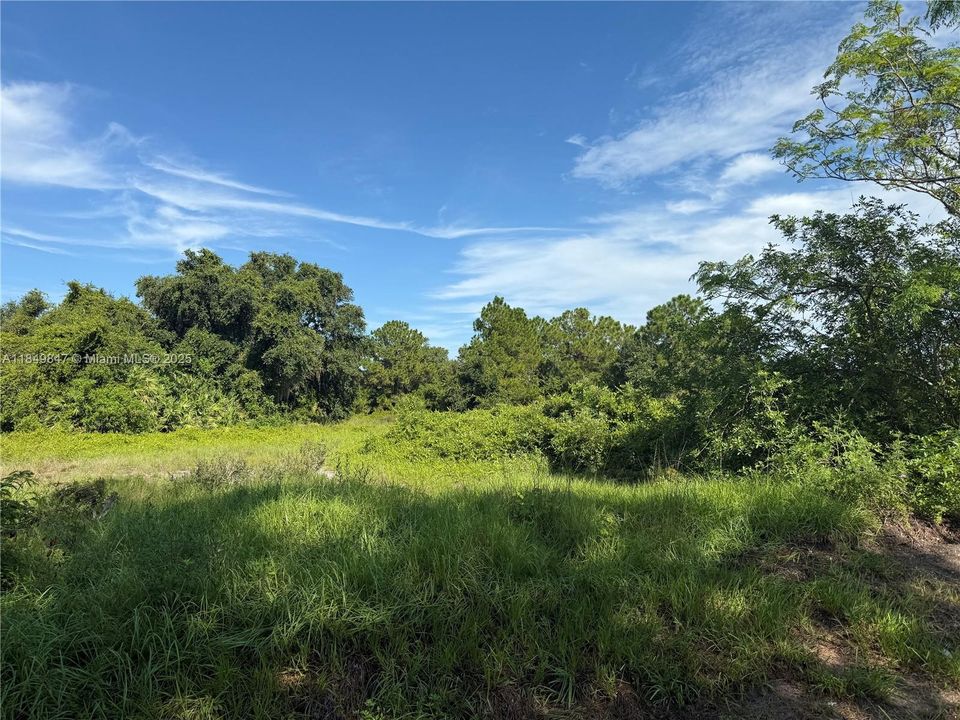 En Venta: $46,500 (1.04 acres)