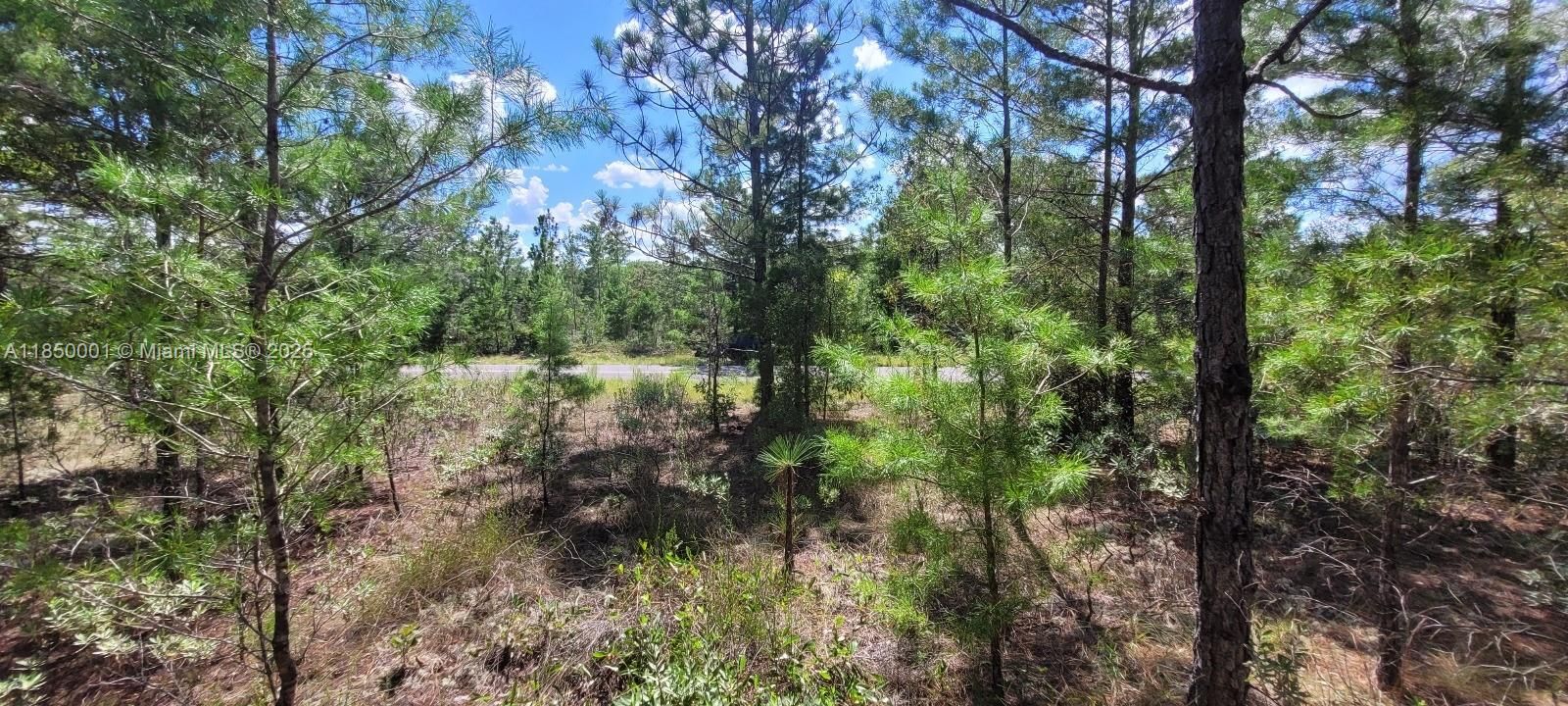 На продажу: $7,000 (0.26 acres)