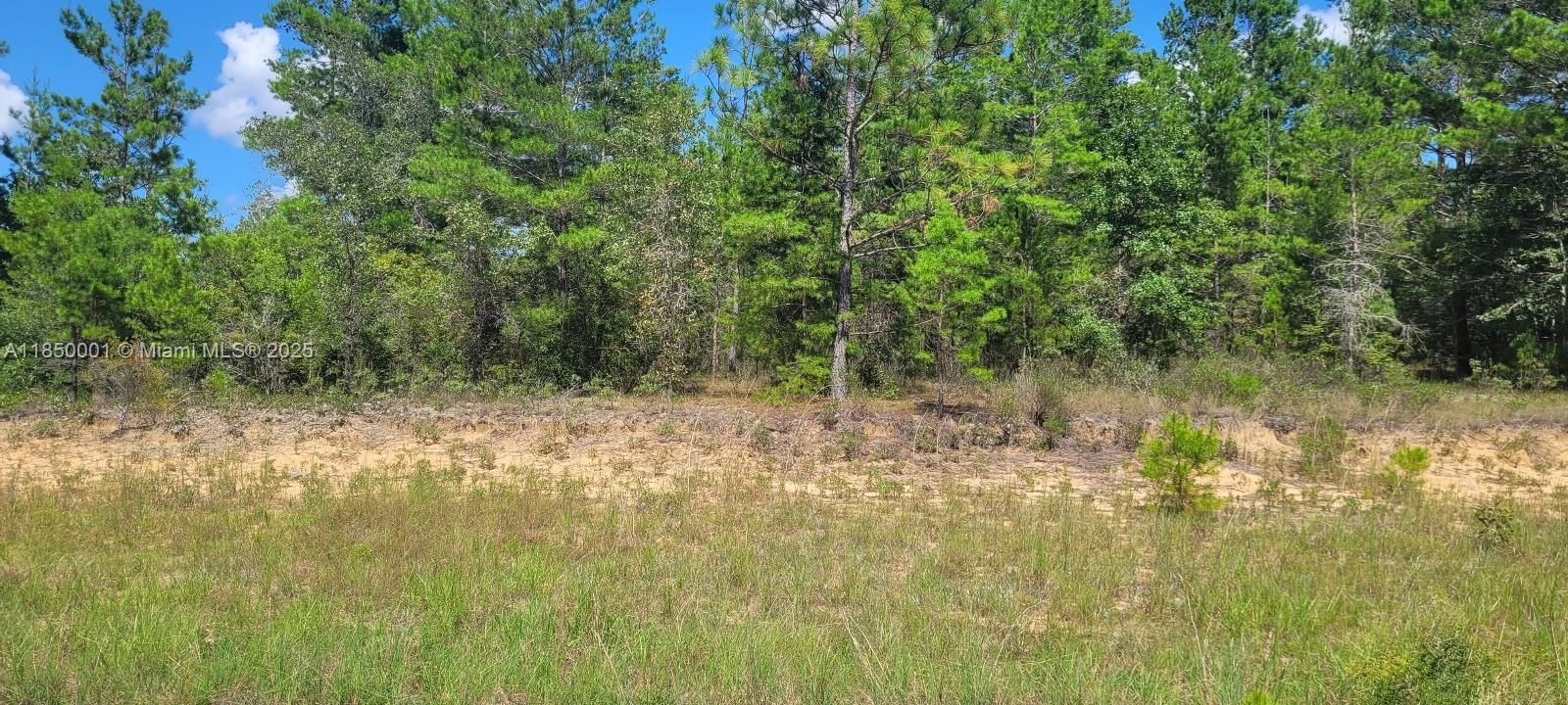 На продажу: $7,000 (0.26 acres)