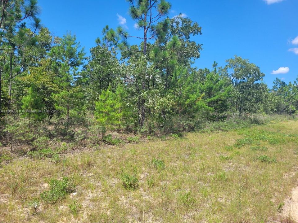 待售: $7,000 (0.26 acres)