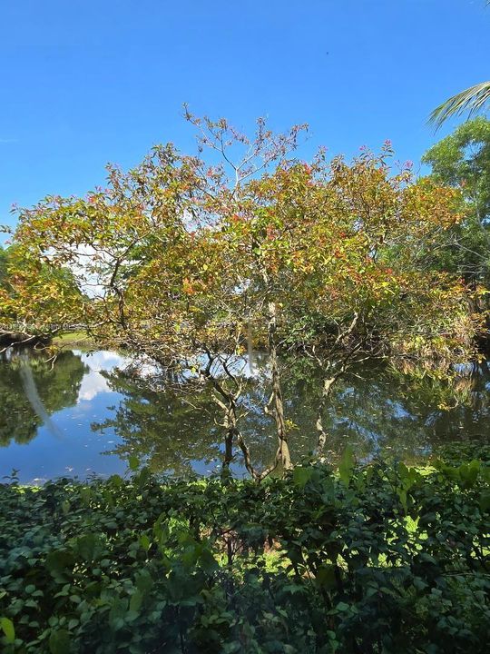 For Sale: $329,900 (2 beds, 2 baths, 1256 Square Feet)