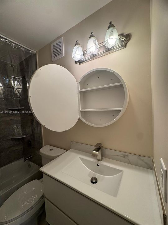 Vanity Mirrors / Cabinet (both Bedrooms)