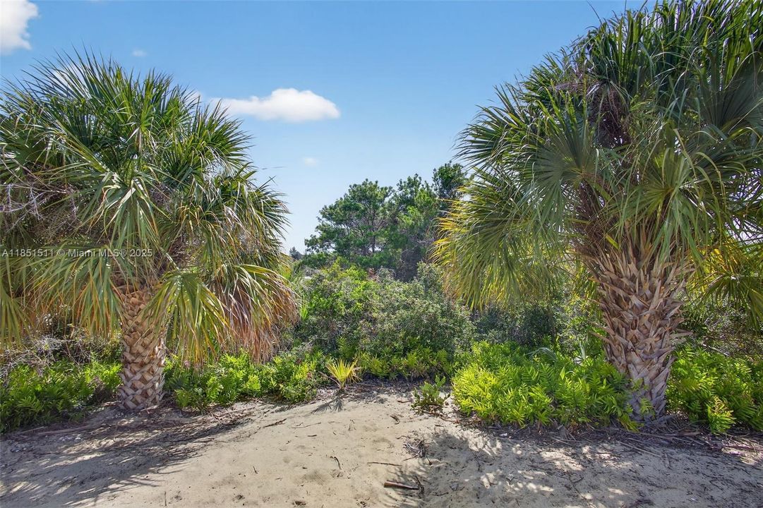 Activo con contrato: $1,385,000 (3 camas, 2 baños, 1889 Pies cuadrados)