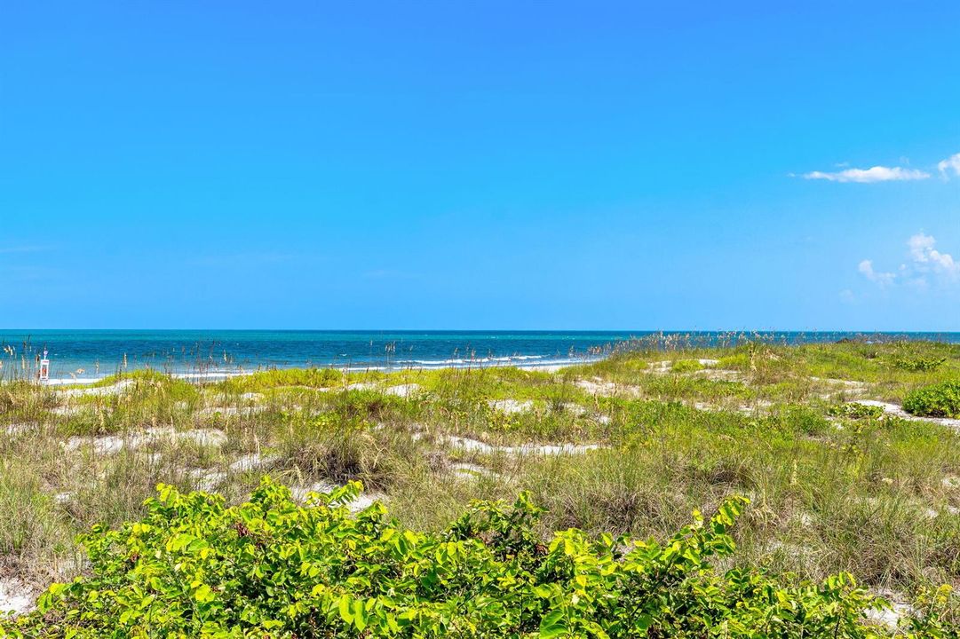 40-web-or-mls-DSC07209