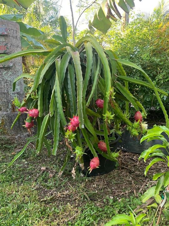 For Sale: $995,000 (4 beds, 2 baths, 1834 Square Feet)