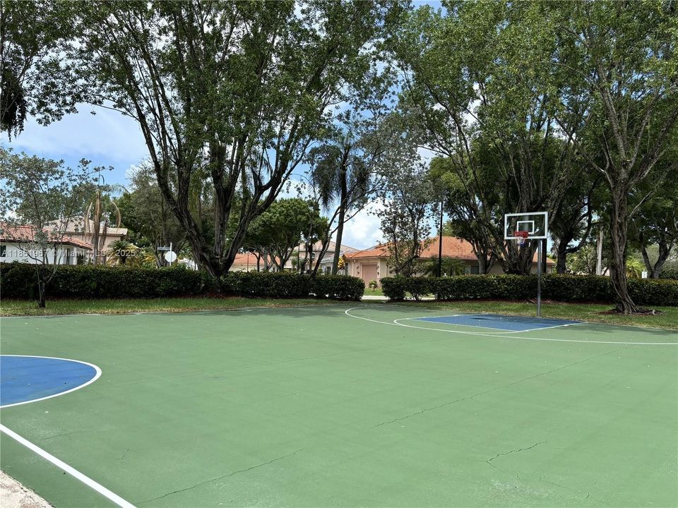 Basket Ball Court