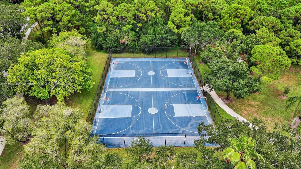 Basketball court