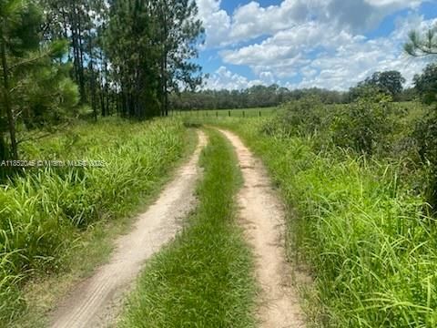 待售: $35,000 (2.16 acres)