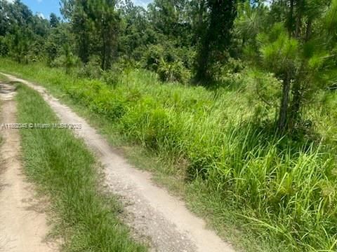 待售: $35,000 (2.16 acres)