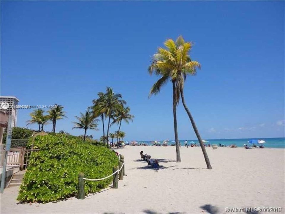 Our beautiful Hollywood Beach