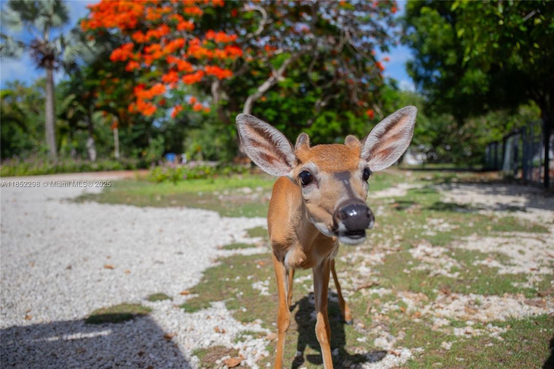 For Sale: $1,100,000 (2 beds, 2 baths, 1420 Square Feet)