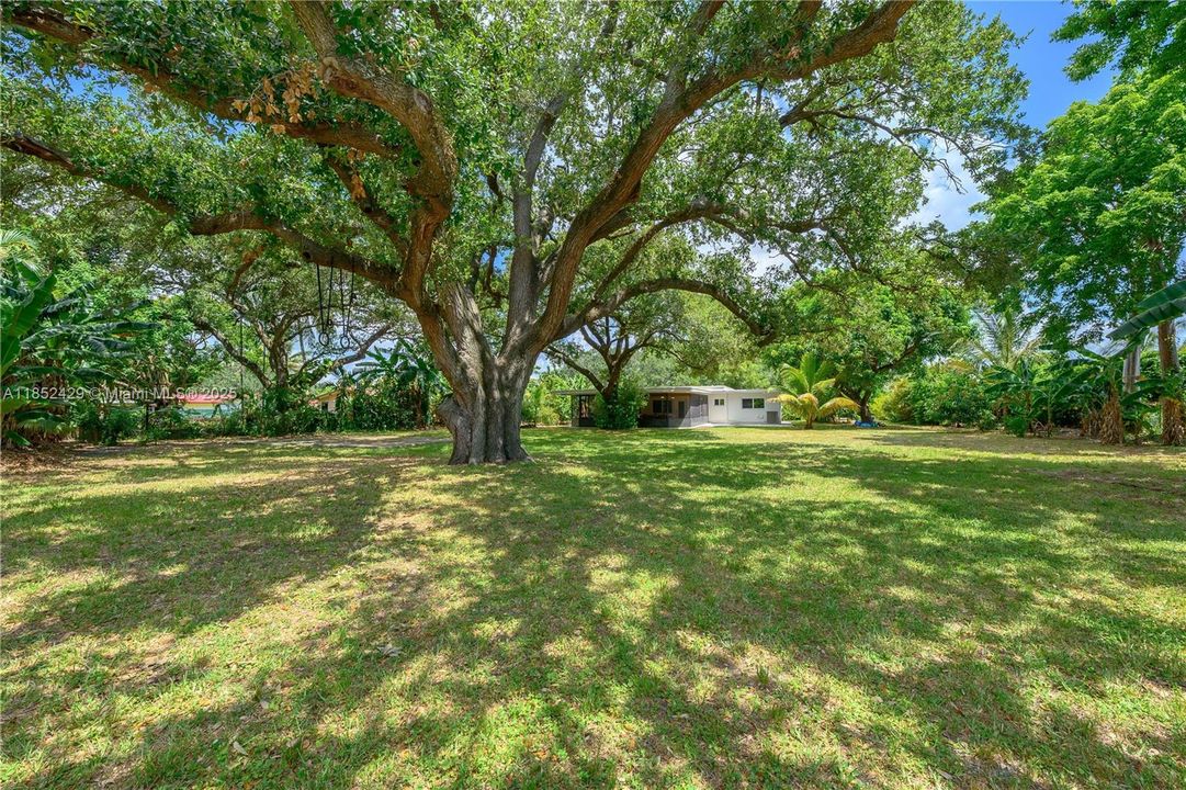 Недавно продано: $840,000 (3 спален, 2 ванн, 2431 Квадратных фут)