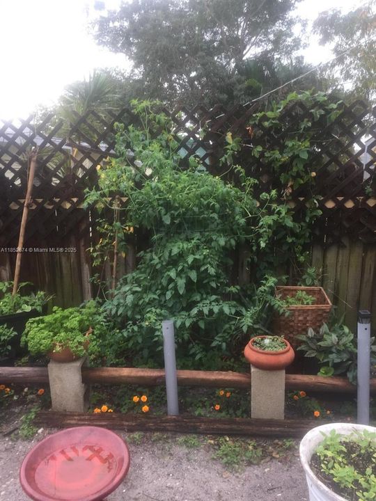 Недавно продано: $365,000 (3 спален, 1 ванн, 1347 Квадратных фут)