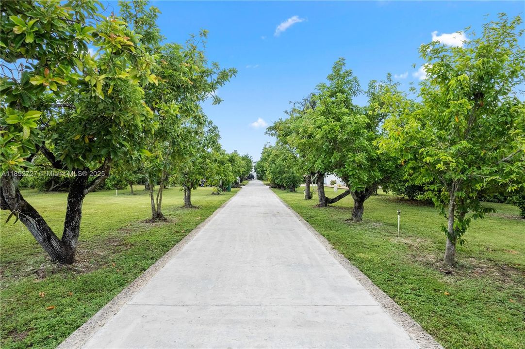 For Sale: $1,945,000 (5 beds, 4 baths, 4066 Square Feet)