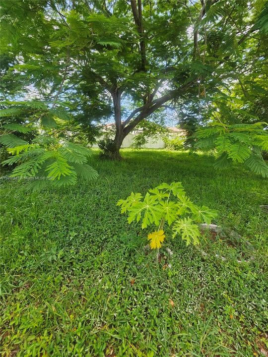 Recently Sold: $180,000 (0.12 acres)