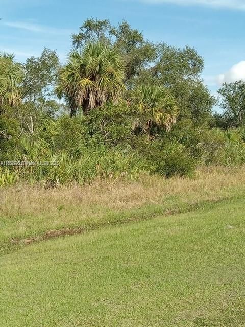 На продажу: $100,000 (0.30 acres)