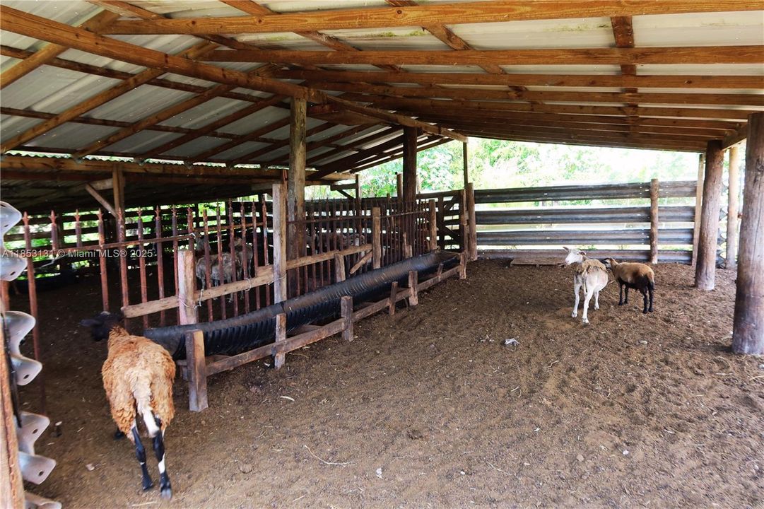 For Sale: $675,000 (3 beds, 2 baths, 980 Square Feet)