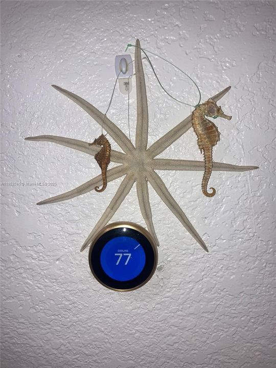 For Sale: $399,000 (3 beds, 2 baths, 0 Square Feet)