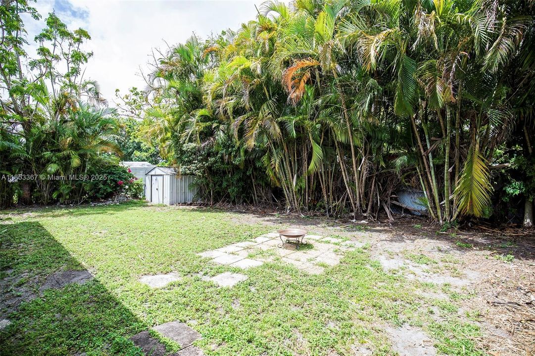 Backyard – Wide shot