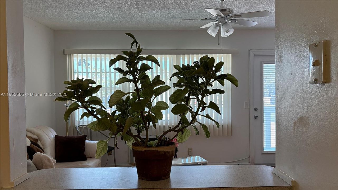 待售: $90,000 (1 贝兹, 1 浴室, 585 平方英尺)