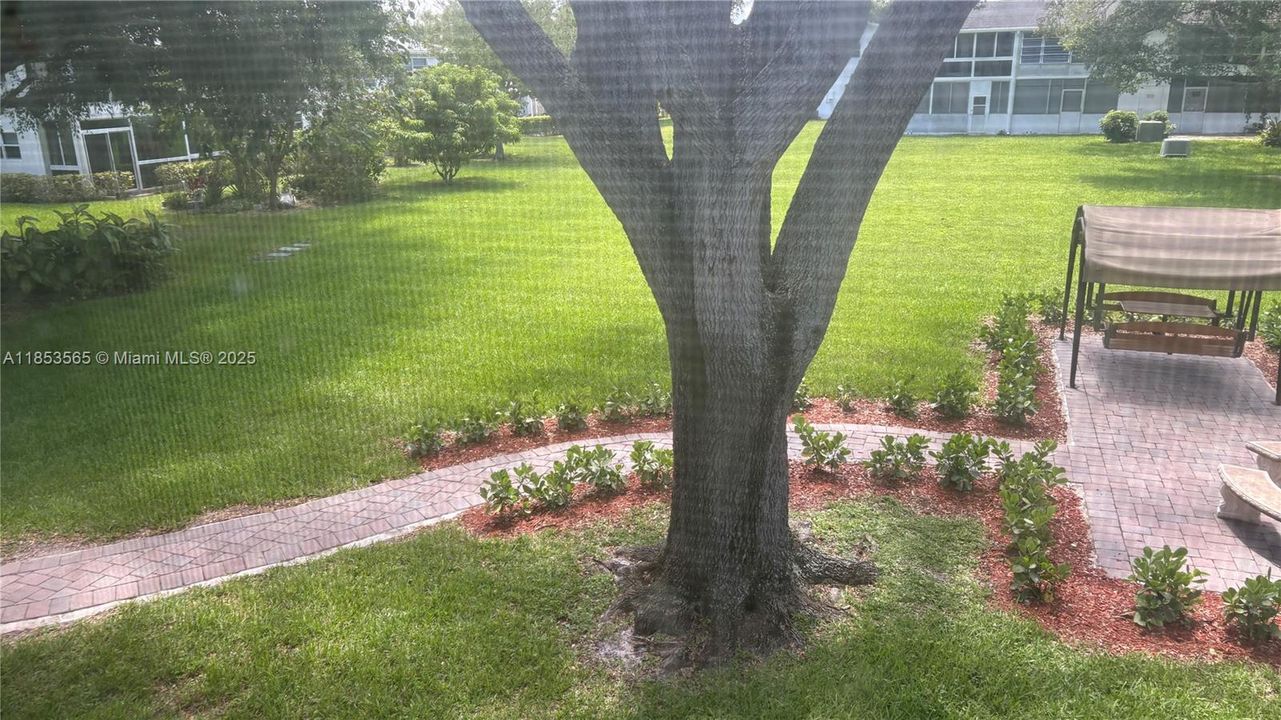 View from the balcony