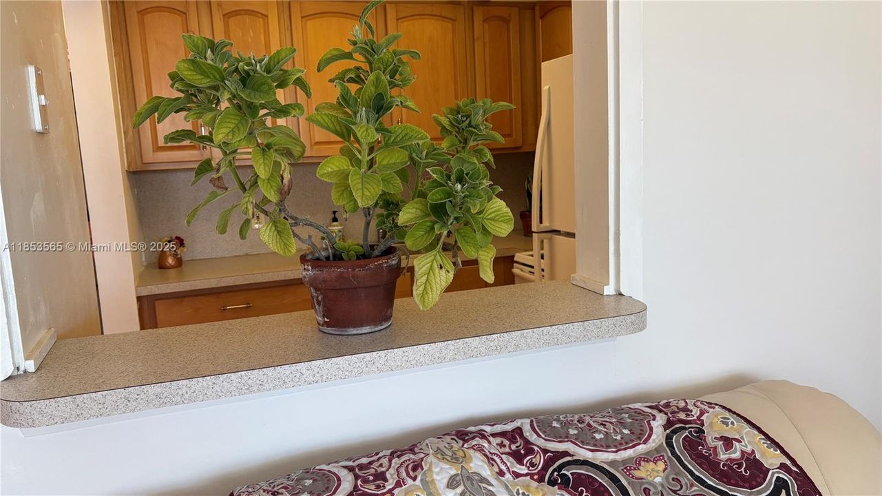 待售: $90,000 (1 贝兹, 1 浴室, 585 平方英尺)