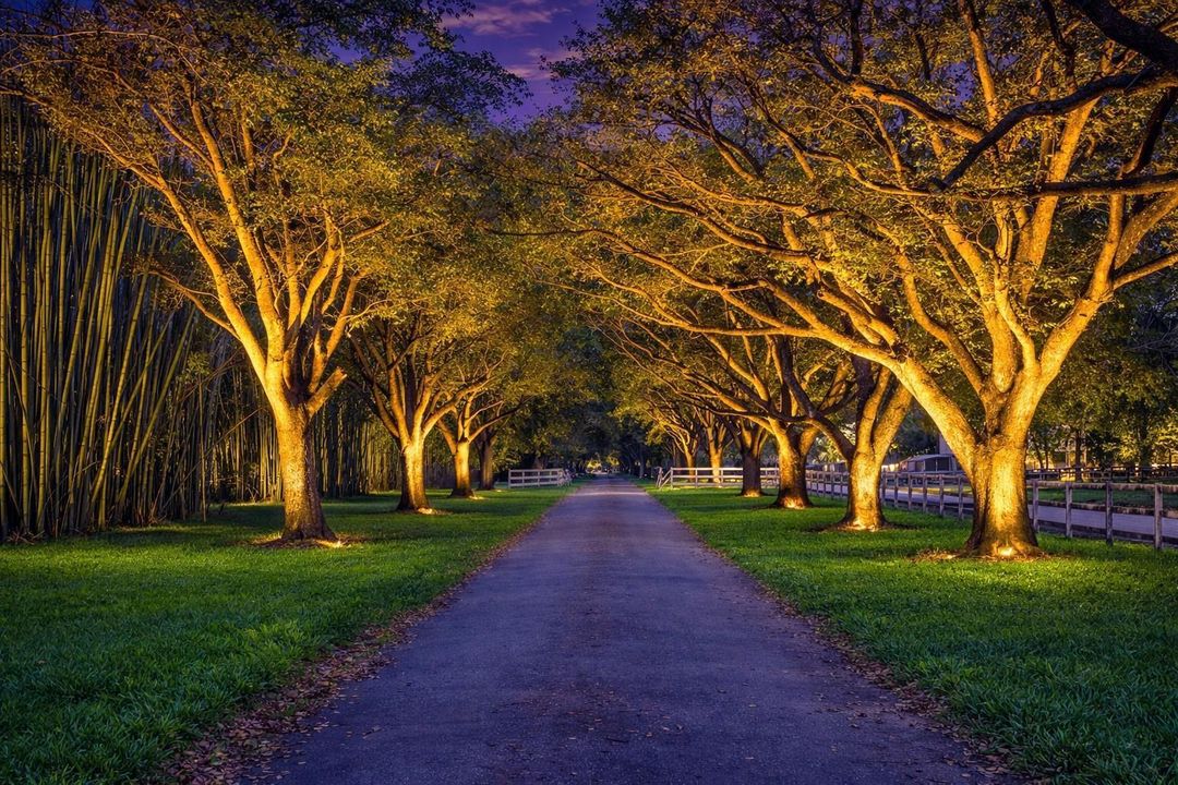 AI ENHANCED DRIVEWAY