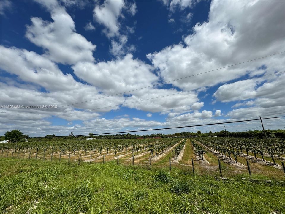 For Sale: $1,600,000 (0 beds, 0 baths, 0 Square Feet)