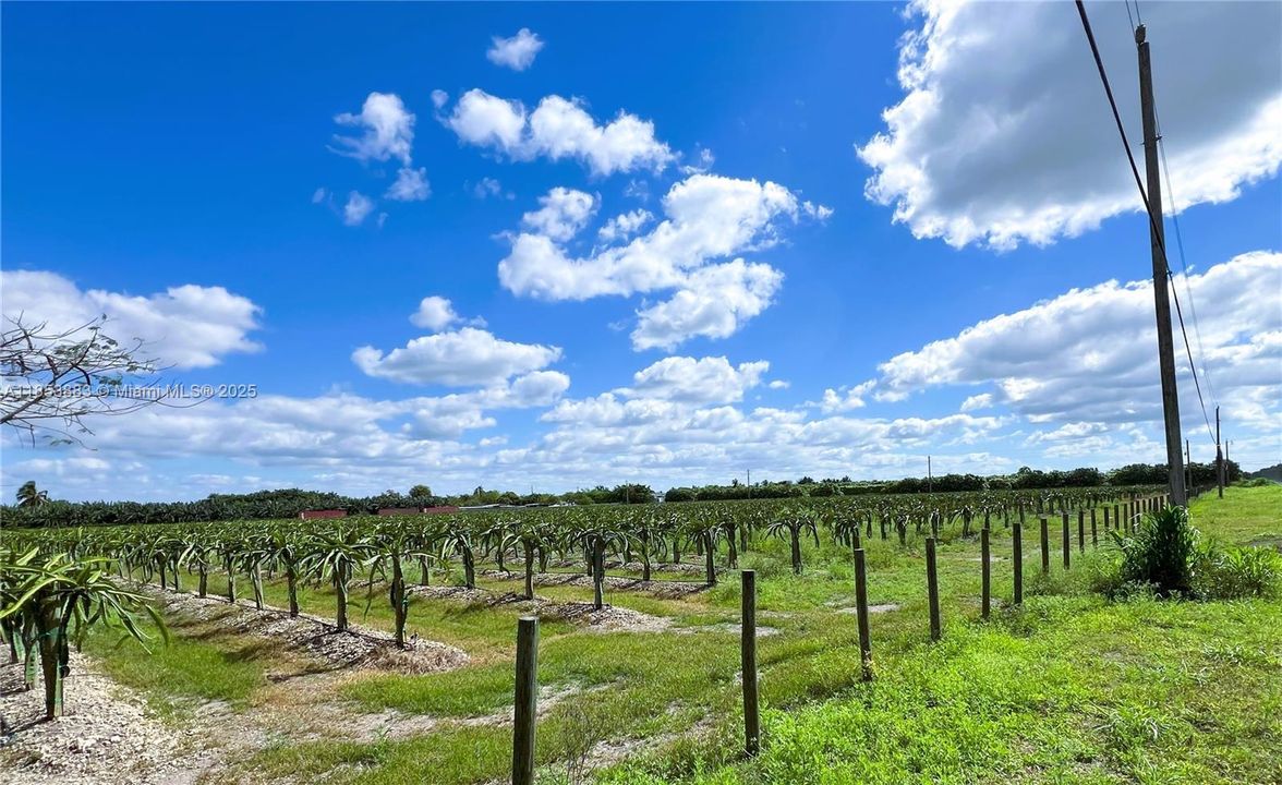 For Sale: $1,600,000 (0 beds, 0 baths, 0 Square Feet)