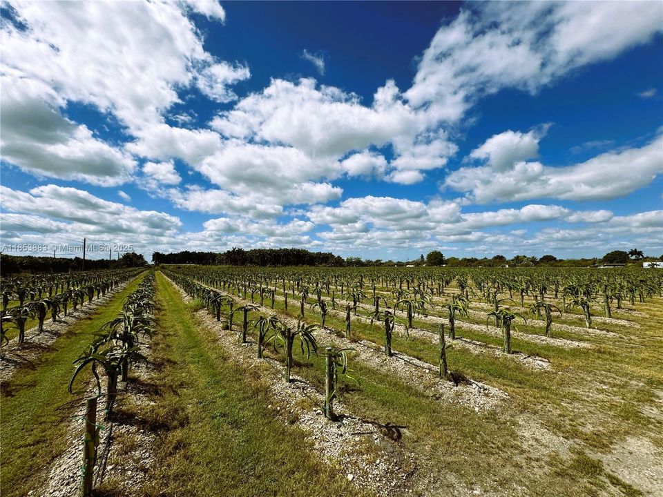 For Sale: $1,600,000 (0 beds, 0 baths, 0 Square Feet)