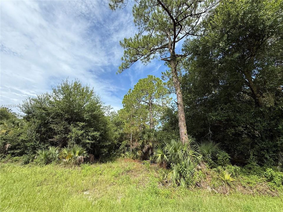 Vendido Recientemente: $47,999 (1.25 acres)