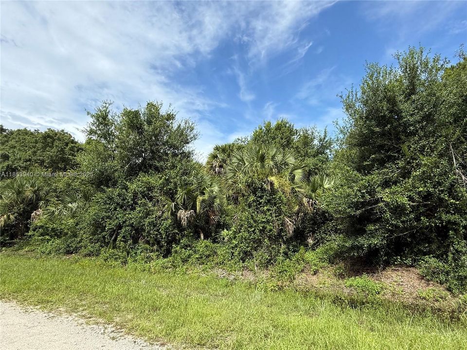 Vendido Recientemente: $47,999 (1.25 acres)