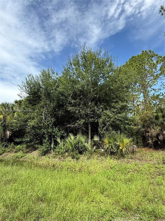 Vendido Recientemente: $47,999 (1.25 acres)