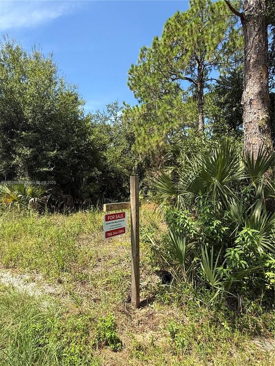 Vendido Recientemente: $47,999 (1.25 acres)