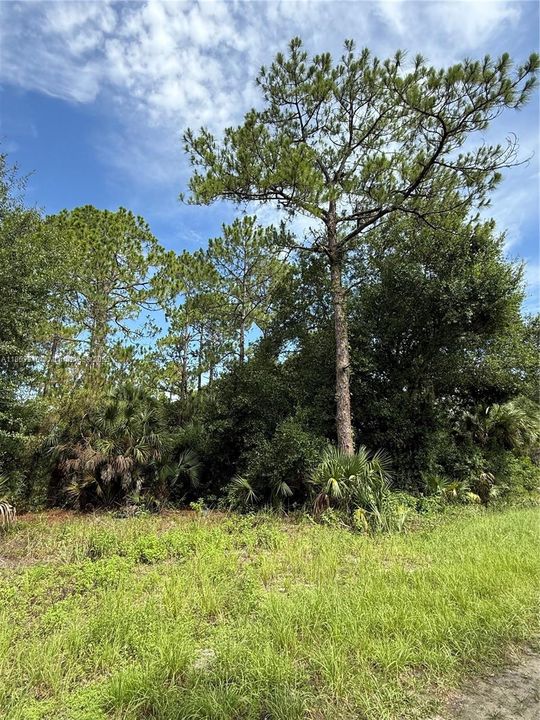 Vendido Recientemente: $47,999 (1.25 acres)