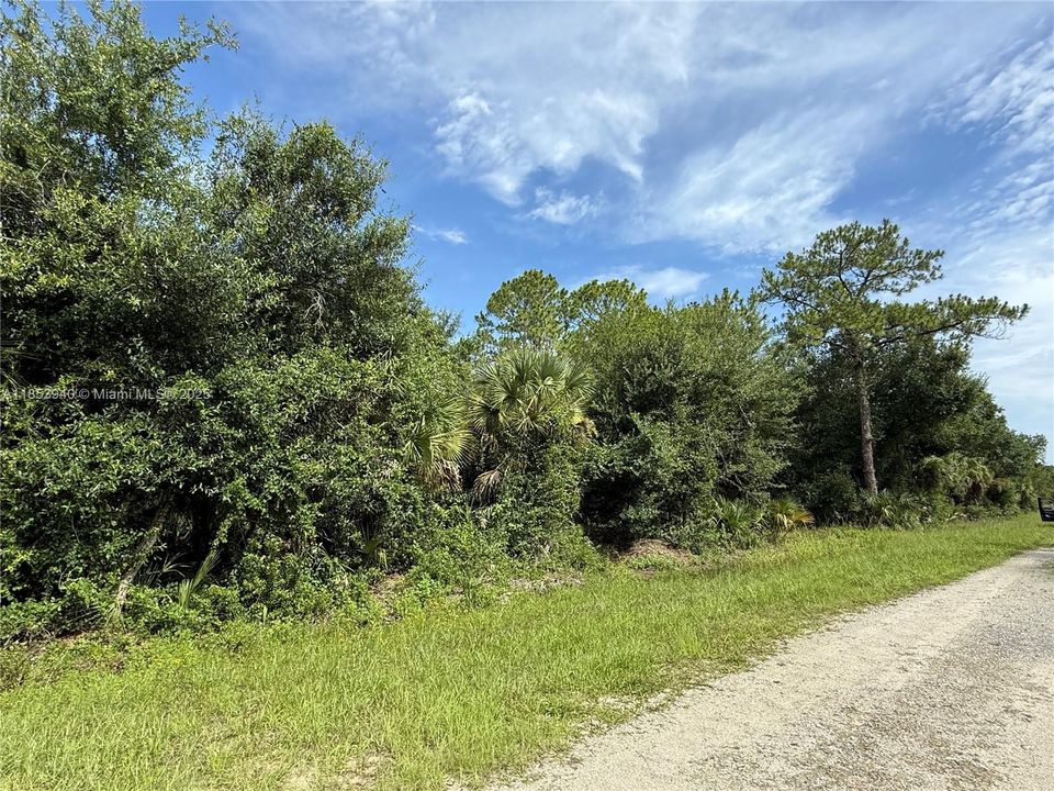 Vendido Recientemente: $47,999 (1.25 acres)