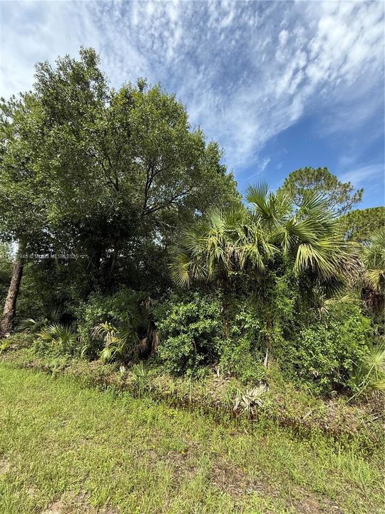 Vendido Recientemente: $47,999 (1.25 acres)