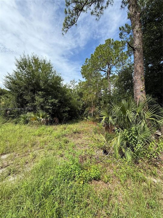 Vendido Recientemente: $47,999 (1.25 acres)