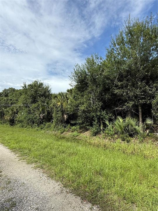 Vendido Recientemente: $47,999 (1.25 acres)