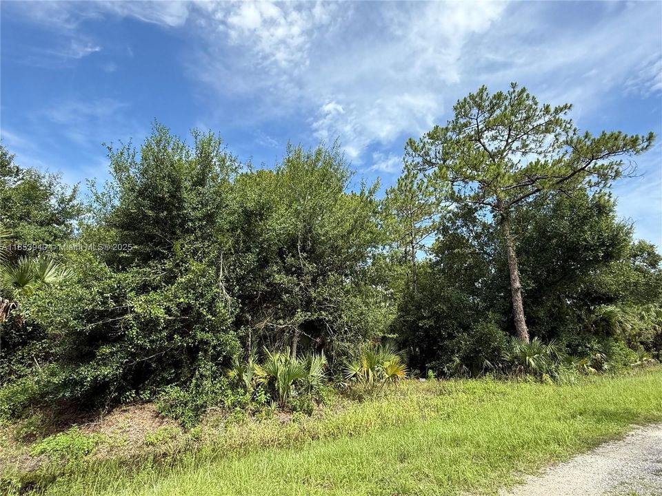 Vendido Recientemente: $47,999 (1.25 acres)