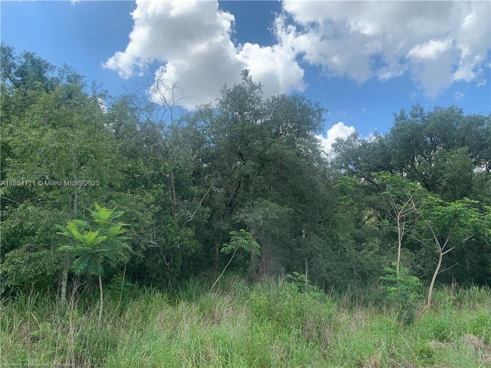 En Venta: $14,900 (0.18 acres)