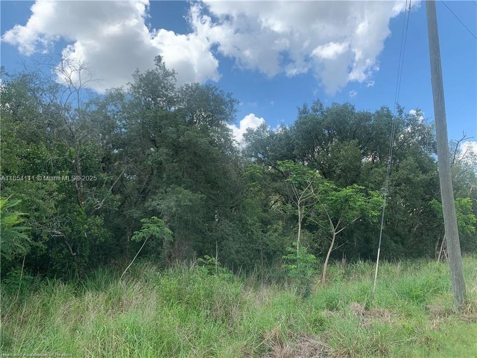 En Venta: $14,900 (0.18 acres)