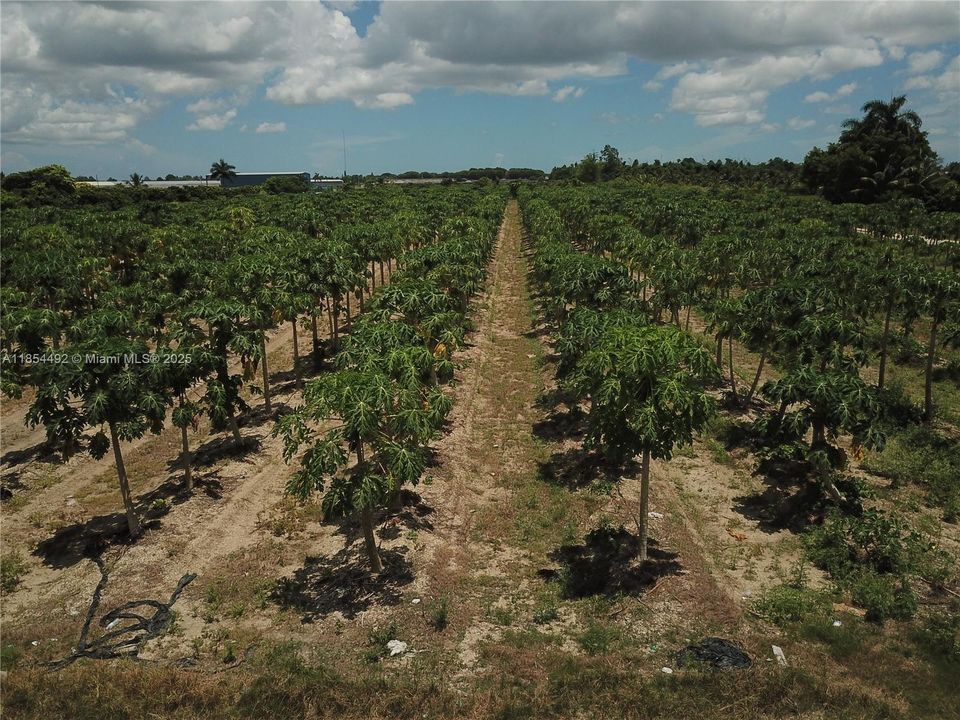 For Sale: $425,000 (2.50 acres)