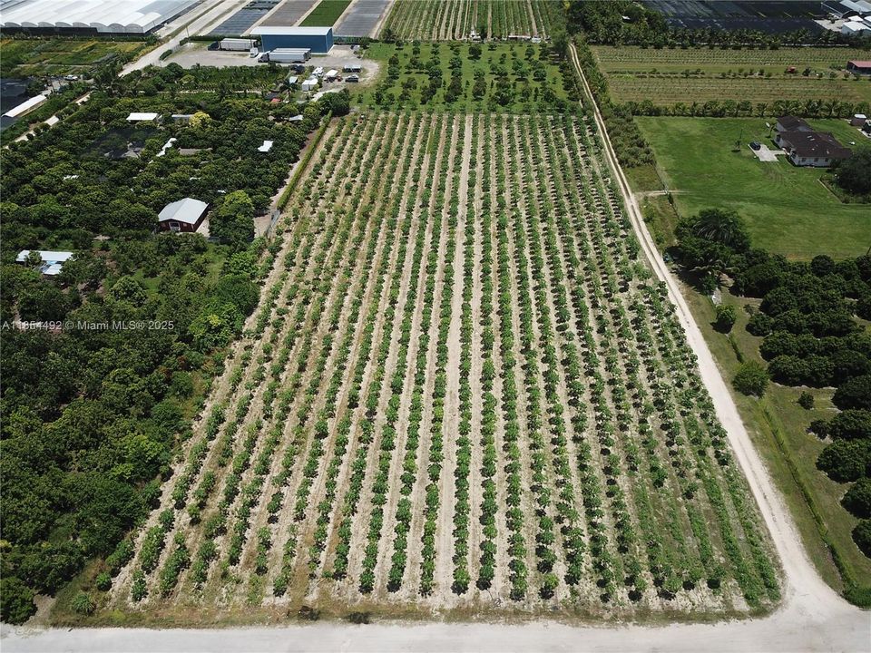 For Sale: $425,000 (2.50 acres)