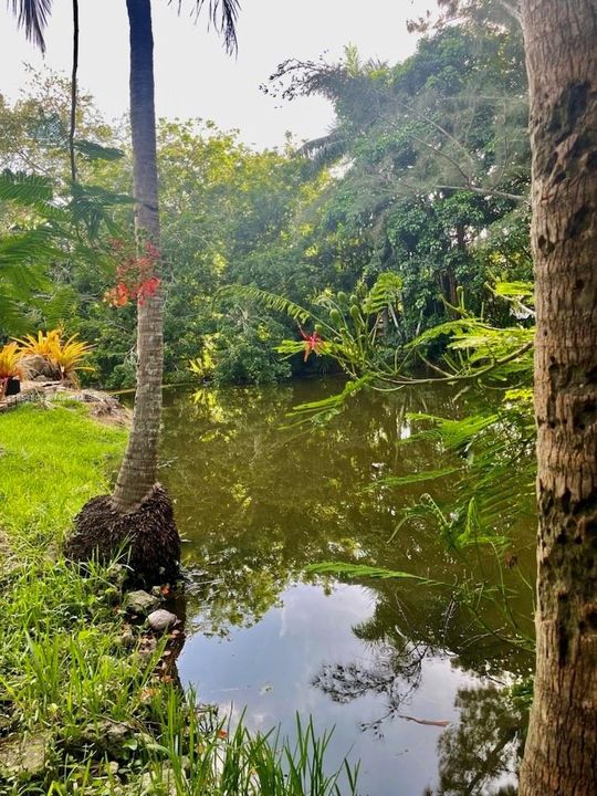 Недавно арендовано: $6,200 (3 спален, 3 ванн, 2330 Квадратных фут)