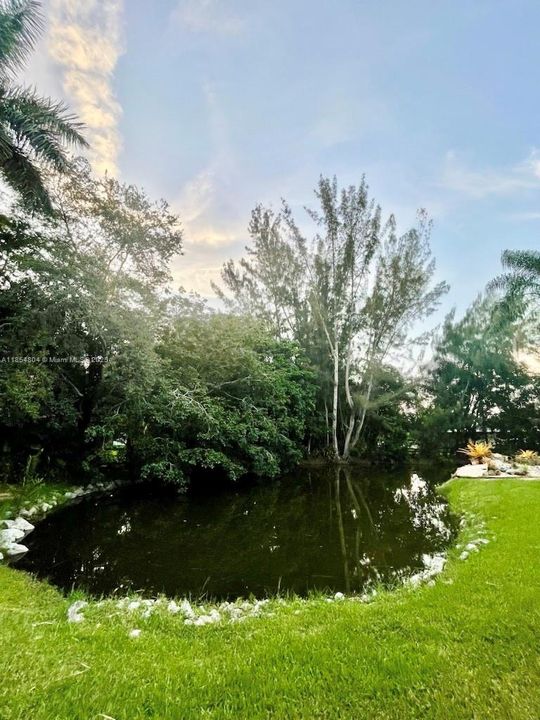 Недавно арендовано: $6,200 (3 спален, 3 ванн, 2330 Квадратных фут)