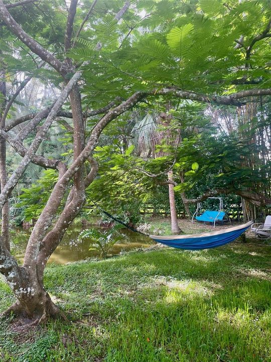 Недавно арендовано: $6,200 (3 спален, 3 ванн, 2330 Квадратных фут)