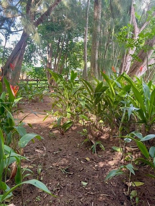 Недавно арендовано: $6,200 (3 спален, 3 ванн, 2330 Квадратных фут)