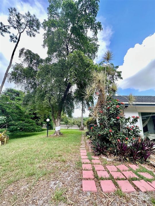 Недавно арендовано: $6,200 (3 спален, 3 ванн, 2330 Квадратных фут)