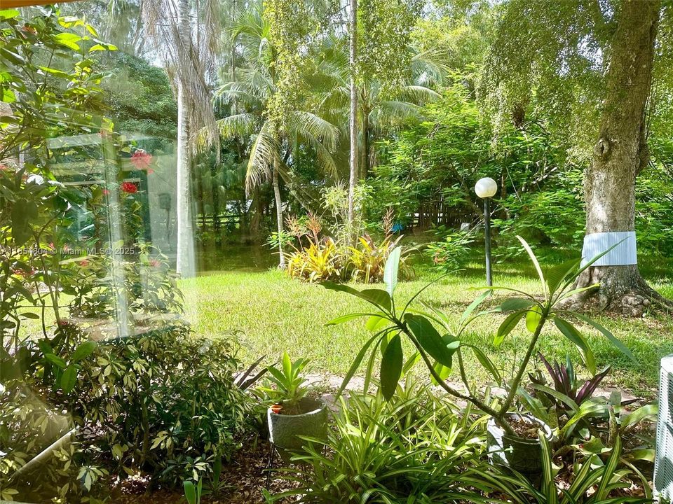 Недавно арендовано: $6,200 (3 спален, 3 ванн, 2330 Квадратных фут)